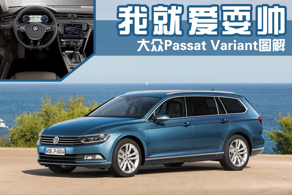 我就爱耍帅 大众passat variant图解